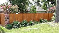 photo gallery